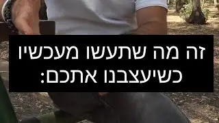 3 באוגוסט 2023