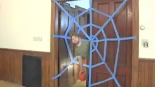 08.  The Spiderweb Illusion
