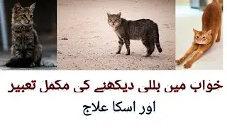 Khuwab main Billi Dekhny ki mukamal tabeer or iska ilaaj