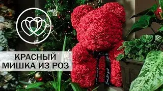 Мишка из роз - красный