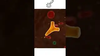 Vírus x Vacina (Virus vs Vaccin)