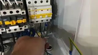 16 августа 2024 г.