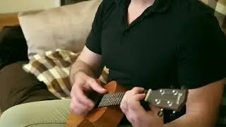 'На Тихорецкую' укулеле кавер... Мы все поем с Жоркой!!!