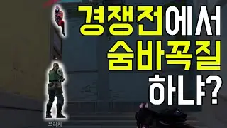 니네 진짜 뭐하냐?