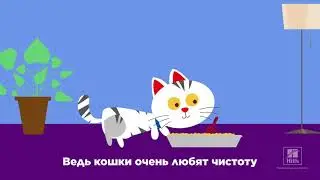 Как помочь кошке справиться со стрессом – 10 советов от Hill's