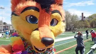 Als Walk