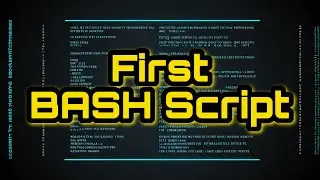 Exploring Beginner Bash Script. Learn Your First Bash Script!