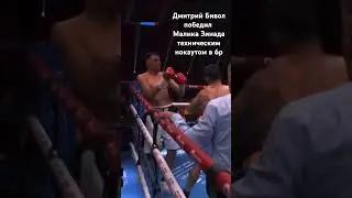 Чемпион мира Дмитрий Бивол выиграл ТКО в 6 раунде Малика Зинада #бокс #boxing #ufc #great #champion