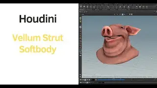 Houdini Softbody Dynamics | Vellum Strut Softbody Shelf Tool 