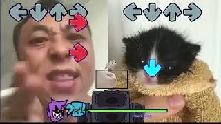 Friday Night Funkin BUT WITH Cats?! Full Week 1 FNF Custom Gameplay