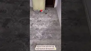 Райм кілем алып берді