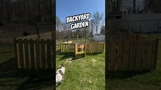 How to build a Garden in your backyard #shorts #short