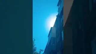 Тополиный пух на солнце
