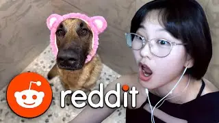 39daph Plays Reddit #56