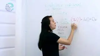 Fotossíntese: visão geral