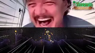 Pedro Pascal Crying in Terraria