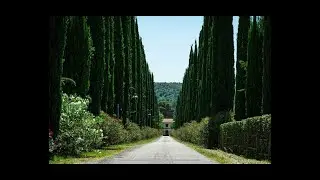 Roadtrip mit Johnny in die Toskana -Impressionen