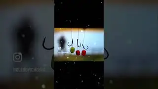 КарпФишинг # Рабалка