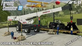 Getting NEW EQUIPMENT with a TRAIN | Forestry on ERLENGRAT | Farming Simulator 22 | Episode 58
