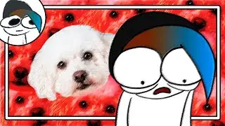 That time a dog c***d in me