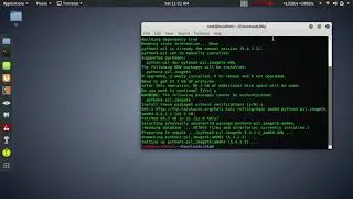 install tkinter in linux | ImportError: cannot import name 'ImageTk' from 'PIL'