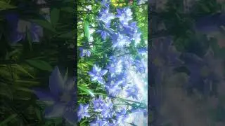 120 FPS (Vinland Saga)  #120fps #4k #shorts #edit #edits #vinlandsaga