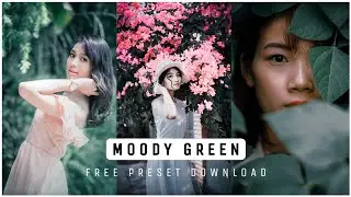 Lightroom Mobile Moody Green Preset | Free DNG Download | LR Preset | GeekyTech |