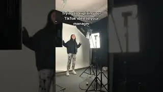 Trying To Explain TikTok Ideas To Your Manager..