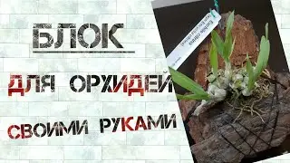 Блок для  орхидей  своими  руками.