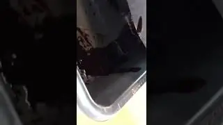 60 second oil change #shorts #oilchange #diy