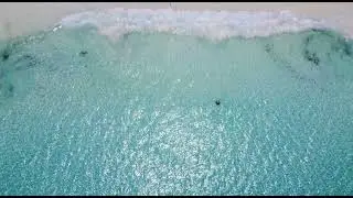 PEMBA ISLAND - Short video with Afro Divers
