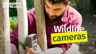 Wildlife cameras - Buyer's Guide from BBC Gardeners' World Magazine