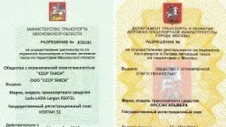 PRO Duster в такси. Типы лицензий и цвет автомобиля такси.