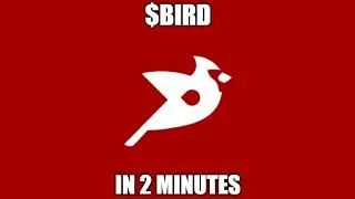 Crypto Altcoin $BIRD in 2 Minutes: Bird Money