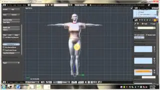 How to Use the New Bone Weight Copy 2.5x Script