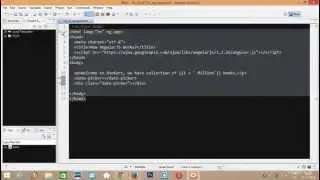 1: How AngularJS works?