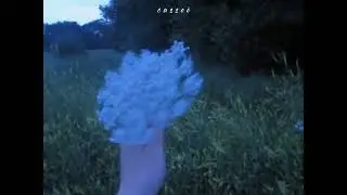 pov : You just want to escape from the reality