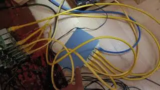 Cloud Computing-Based Cat-Dog Detection