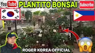 Plantito Inside Square-1 Mall South Korea