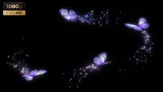 Glowing Butterfly | Stock footage | 1 minute