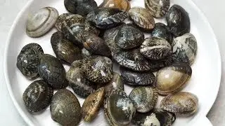 HOW TO CATCH, CLEAN AND COOK LOTS OF CONCH | Food  MUKBANG赶海抓到好多大花甲，今天做个特别的料理