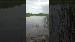 Вечерняя рыбалка на реке