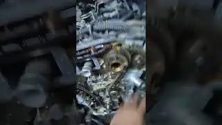 Как правильно установить метки ГРМ на Infiniti