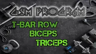 GYM PROGRAM : T-bar row and arms