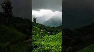 Captured moments apart #munnar in #rain #kerala #monsoon