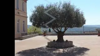 Korte - Istria (Slo)