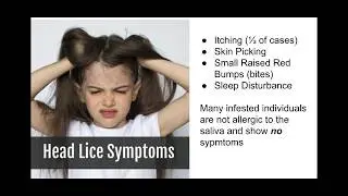How do I know if I have lice?