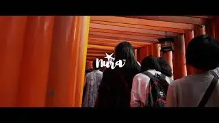 Fushimi Inari Shrine ⛩
