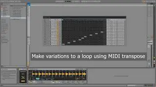 Sequencer-Ki "Make variations to a loop using MIDI transpose"