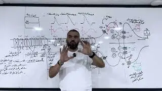 الاتصال العصبي بكالوريا  كمون الراحة العمل النقل المشبكي